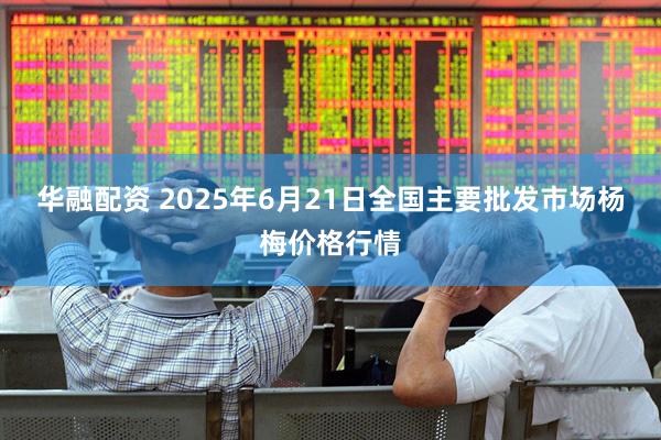 华融配资 2025年6月21日全国主要批发市场杨梅价格行情
