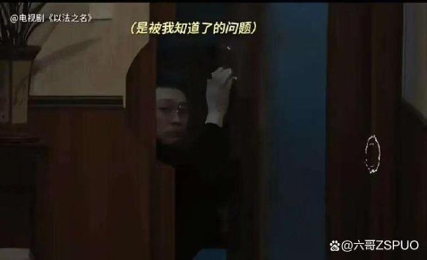蔚莱策略 如何看待《以法之名》洪亮的选择 亲情与职责的较量