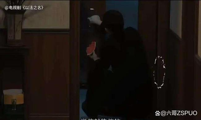 如何看待《以法之名》洪亮的选择 亲情与职责的较量