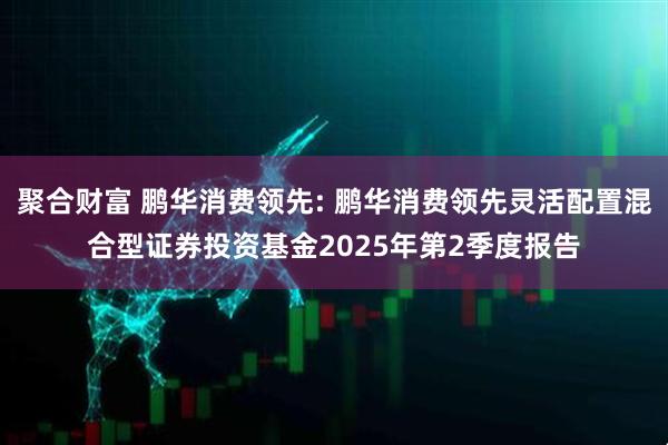 聚合财富 鹏华消费领先: 鹏华消费领先灵活配置混合型证券投资基金2025年第2季度报告