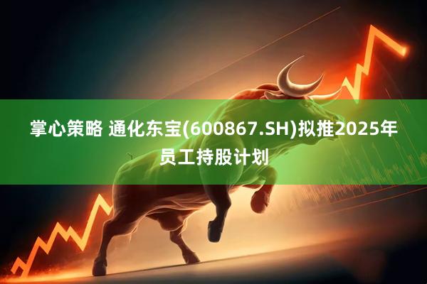掌心策略 通化东宝(600867.SH)拟推2025年员工持股计划