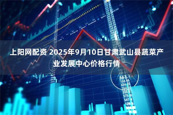 上阳网配资 2025年9月10日甘肃武山县蔬菜产业发展中心价格行情